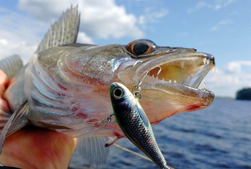 Kosadaka Fish Darts — правильный спиннер