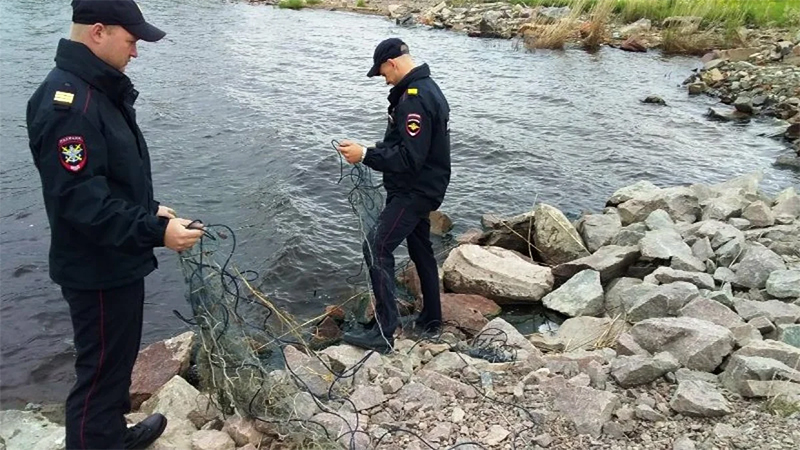 Санкции за ловлю рыбы сетями