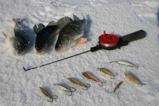 Три уловистые зимние блесны на окуня проверенные рыбаками
